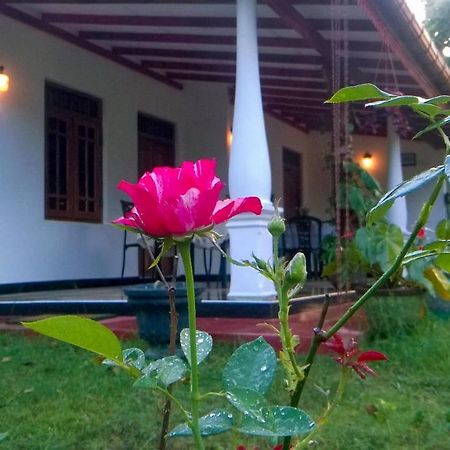 Danara Homestay Sigiriya Exterior photo