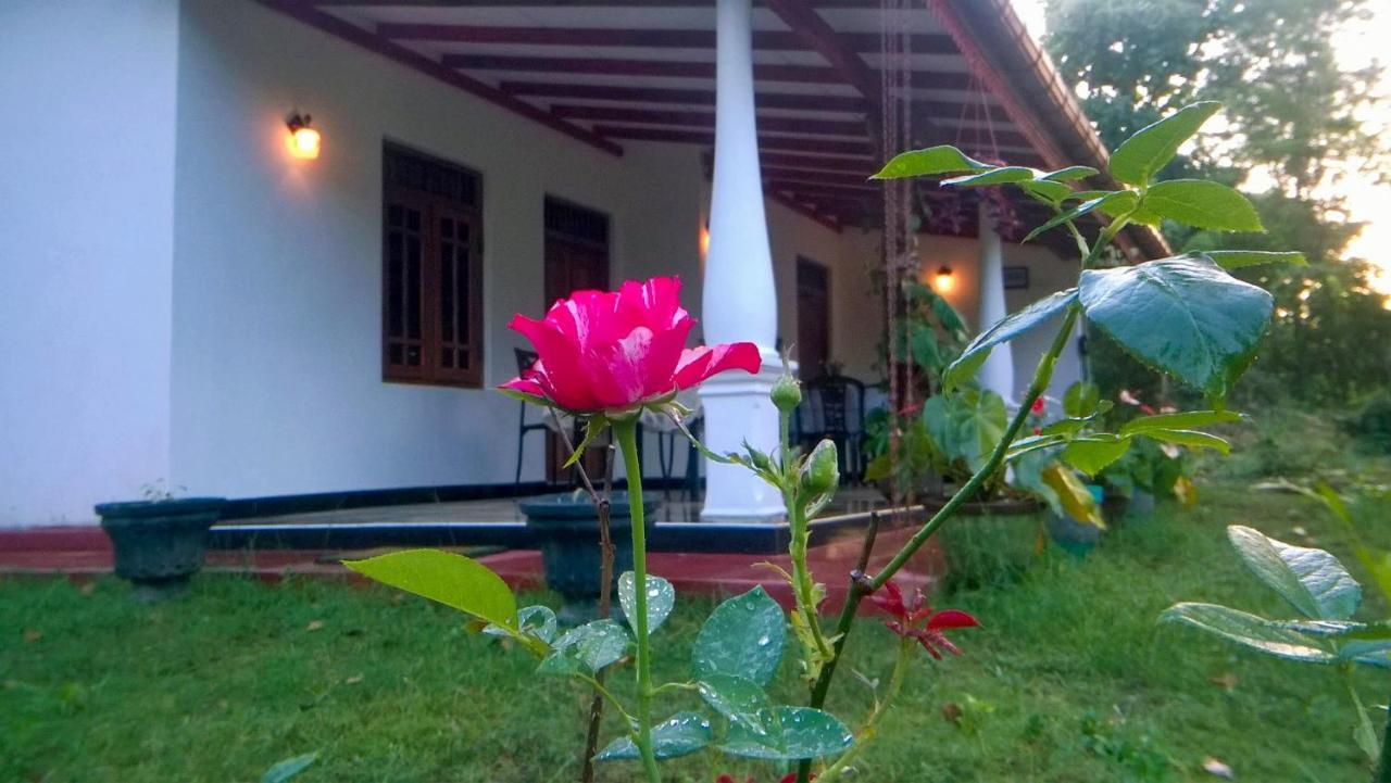 Danara Homestay Sigiriya Exterior photo